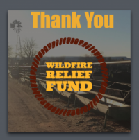 Image of Wildfire Thank You
