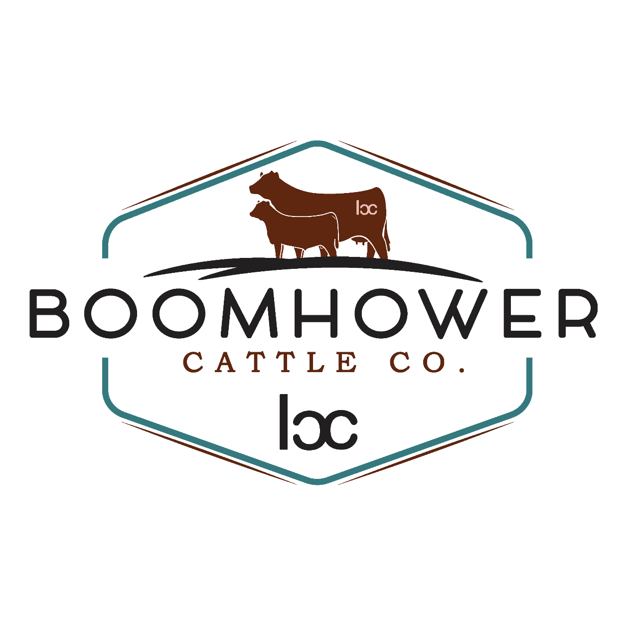 Image of Boomhower logo