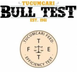 tbt and tfet logo